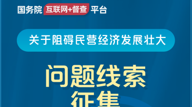 日屄欧美国务院“互联网+督查”平台公开征集阻碍民营经济发展壮大问题线索